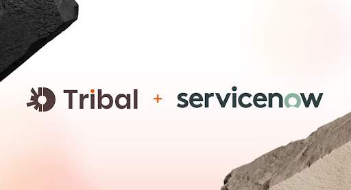 tribal-partners-with-servicenow-to-empower-enterprise-teams-to-build-and-deploy-apps-&-agents