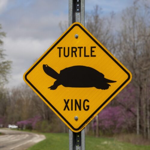 fcc-abolishes-gigabit-speed-goal,-suggesting-it-is-unfair-to-slower-technologies
