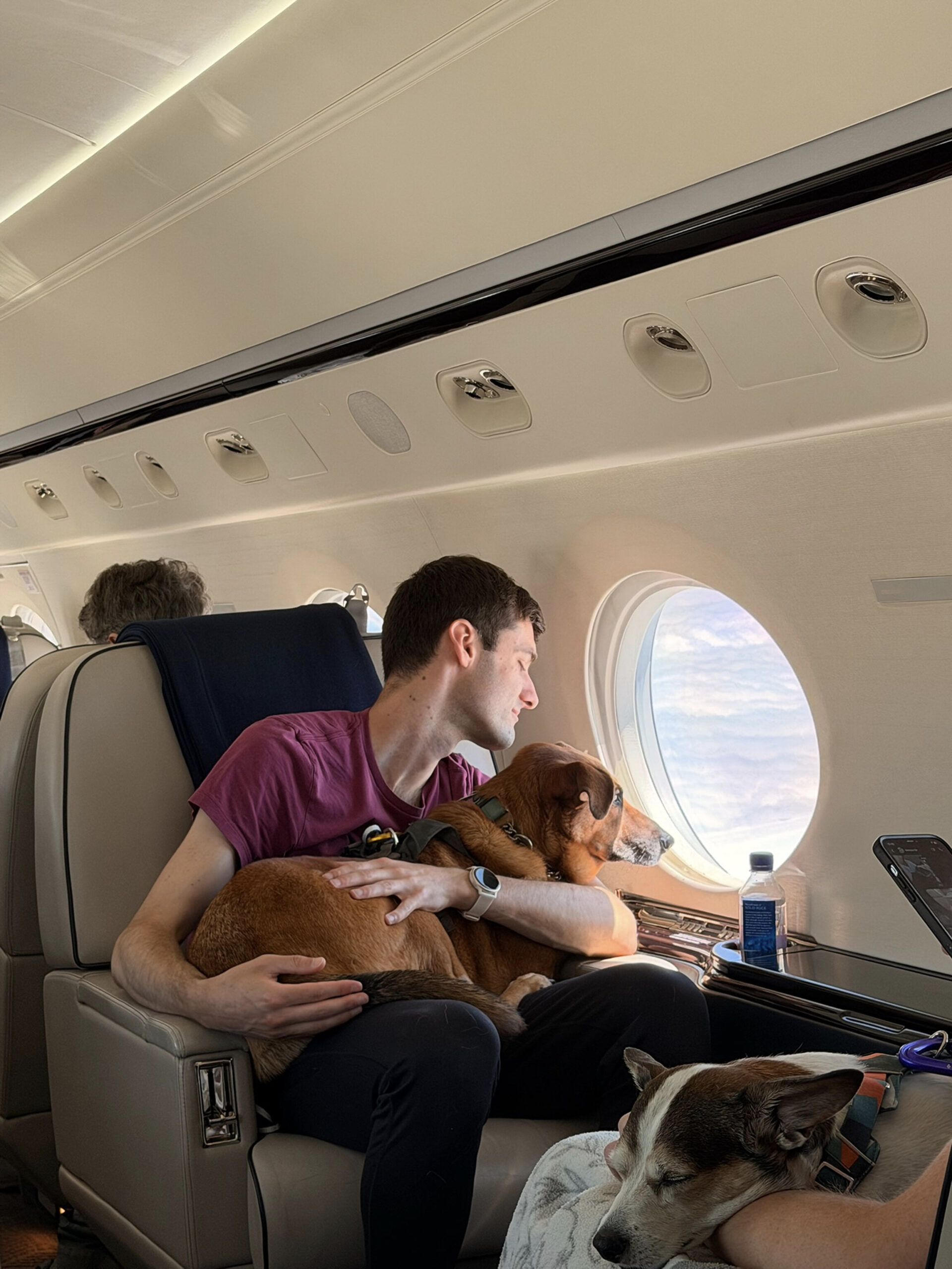 vicuna-air-stellt-„vicuna-waypoints”-vor:-ausweitung-seines-„pet-first”-netzwerks-uber-den-flug-hinaus