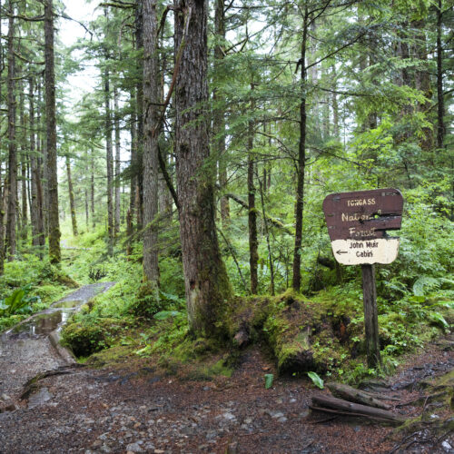dismantling-the-roadless-rule-threatens-to-disrupt-wildlife-and-water-in-us