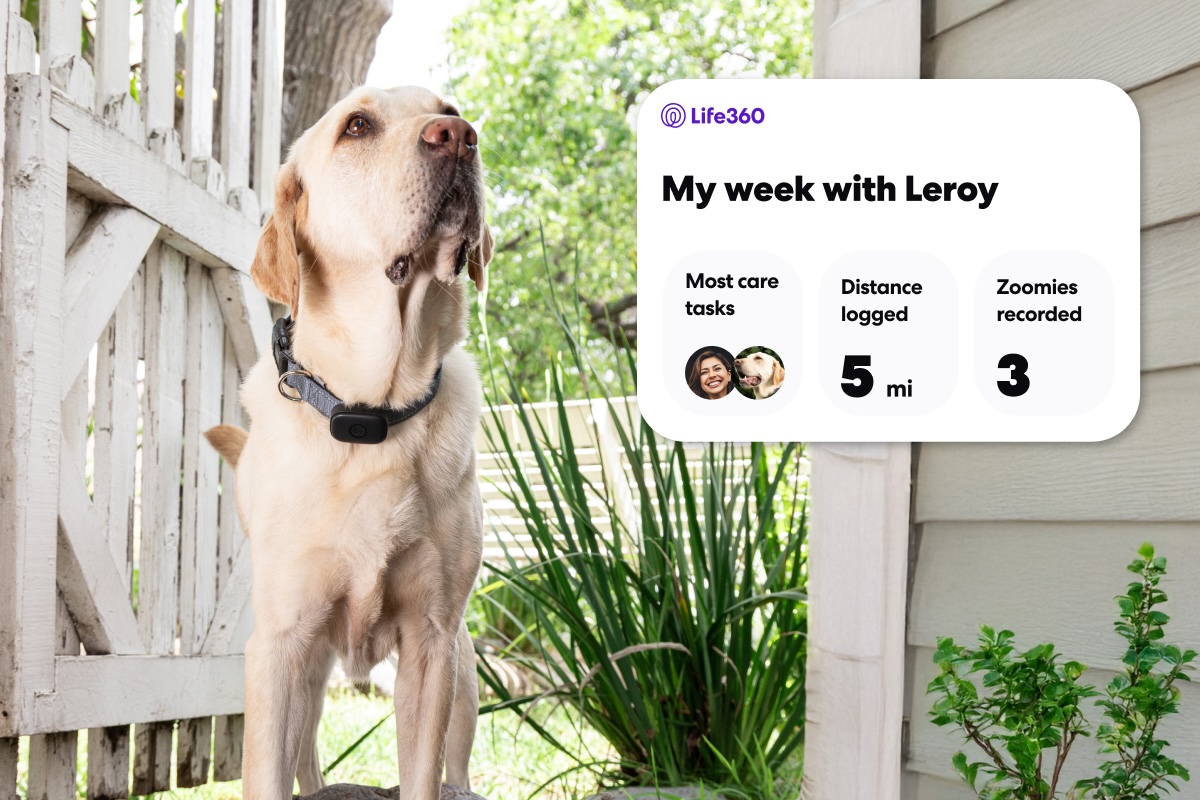 life360-announces-new-pet-care-products-so-no-one-forgets-fido-this-back-to-school-season