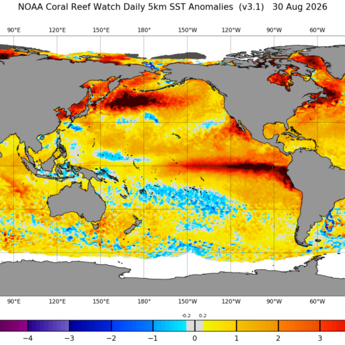 el-nino-is-now-stronger-than-at-any-point-in-the-last-1,000-years,-study-finds