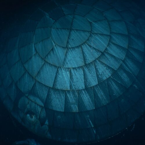 it-turns-out-that-orion’s-much-maligned-heat-shield-performed-really-well