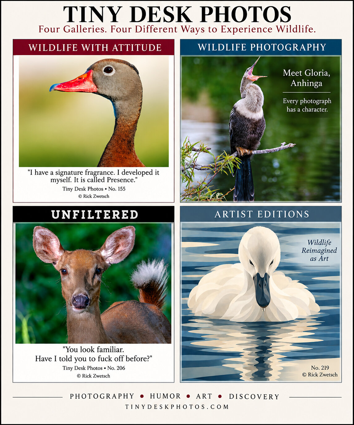 tiny-desk-photos-launches-new-wildlife-website-where-photography,-humor,-art-and-discovery-collide