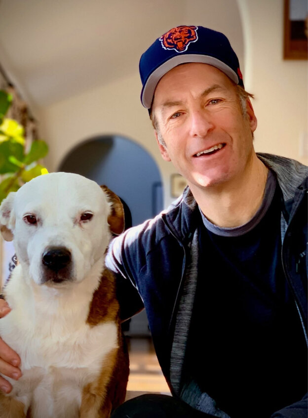 emmy-winner-bob-odenkirk-lends-his-name-to-global-remember-me-thursday-pet-adoption-campaign!