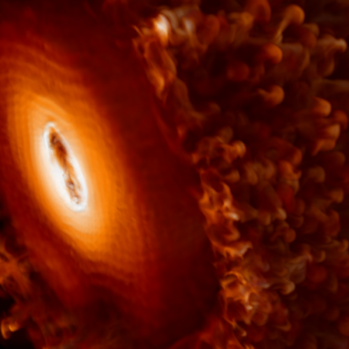 what-happens-when-neutrinos-swap-identities-inside-a-supernova?