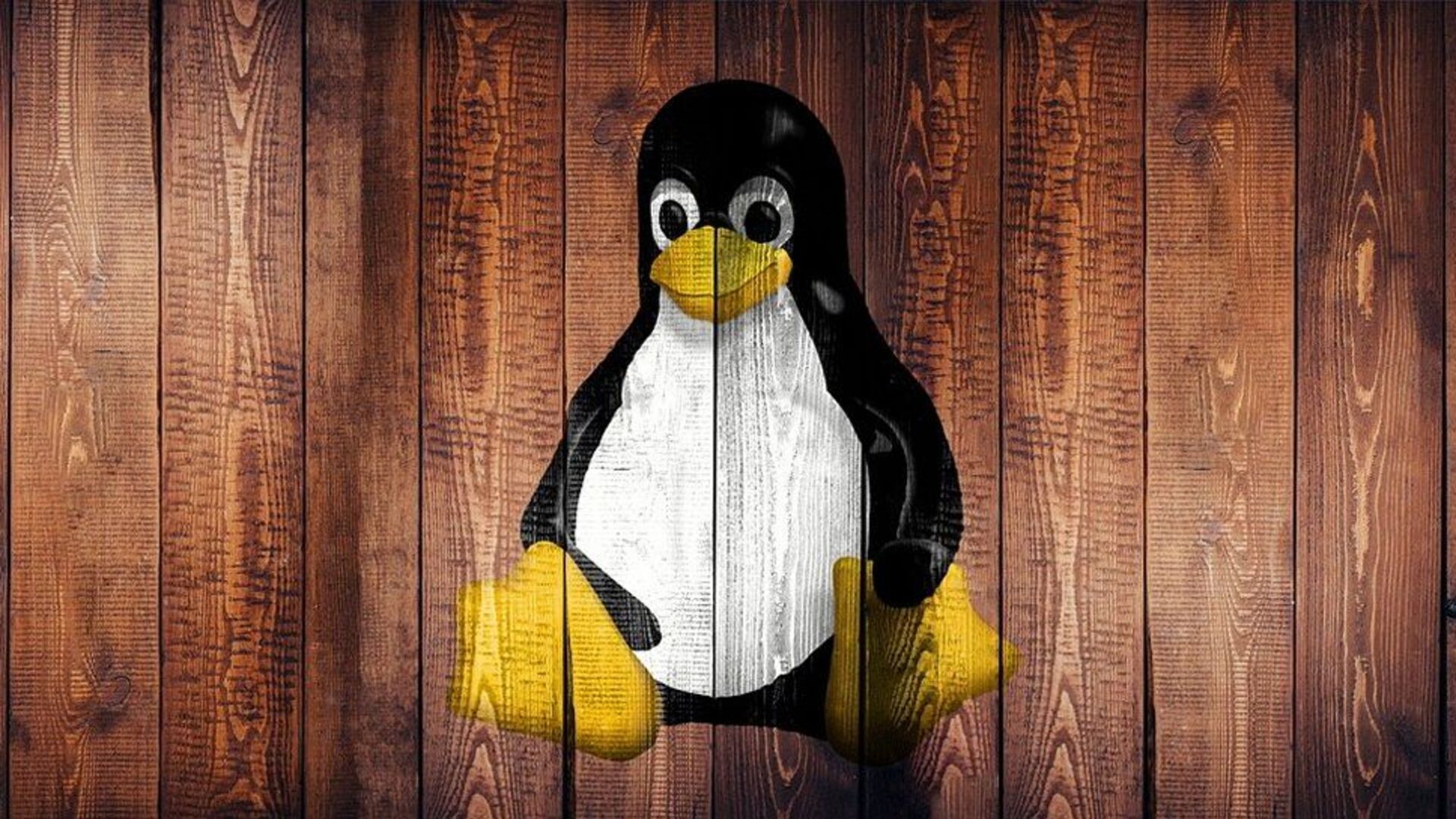 linux-users-beware-—-cisa-flags-three-major-security-issues-you-need-to-patch-right-now
