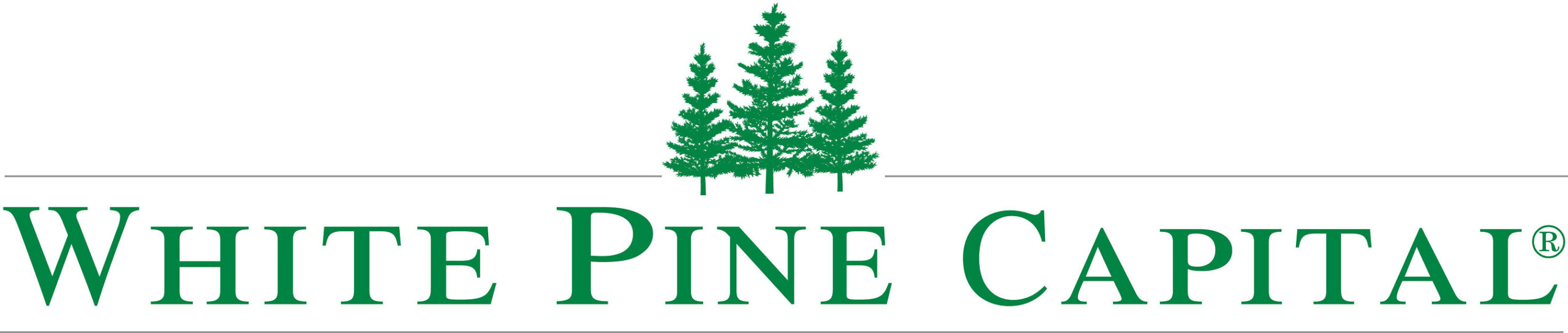 white-pine-capital-strategy-named-to-psn-top-guns-list-in-us-core-&-small-cap-core-universes-for-q2-2026