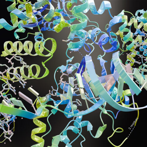 google-figures-out-how-to-watermark-ai-designed-proteins