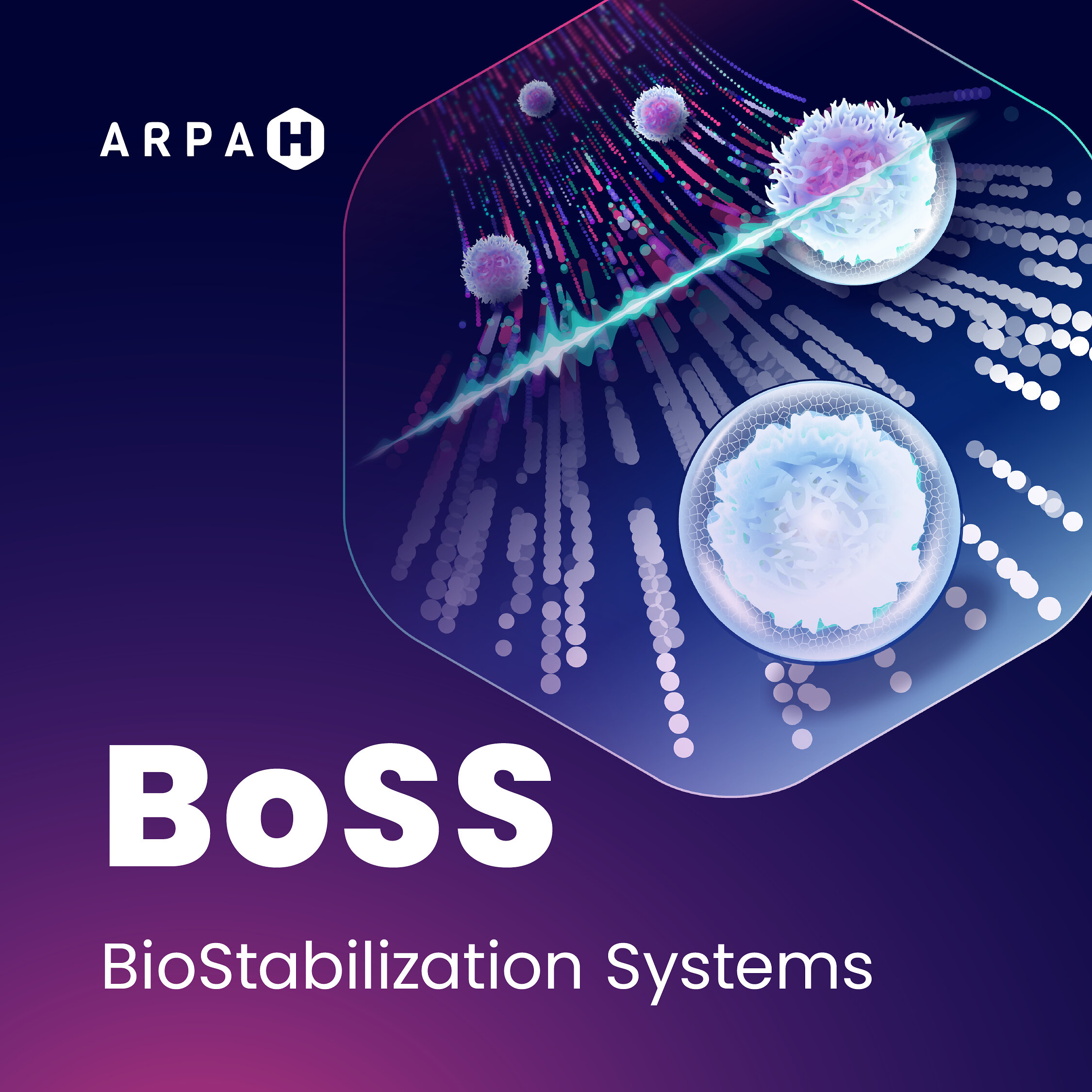 casebioscience-se-une-al-equipo-que-recibio-hasta-7,3-millones-de-dolares-de-arpa-h