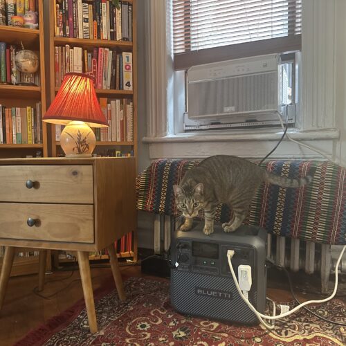 how-i-kept-cool-with-nyc’s-free-battery-program-for-window-ac-units