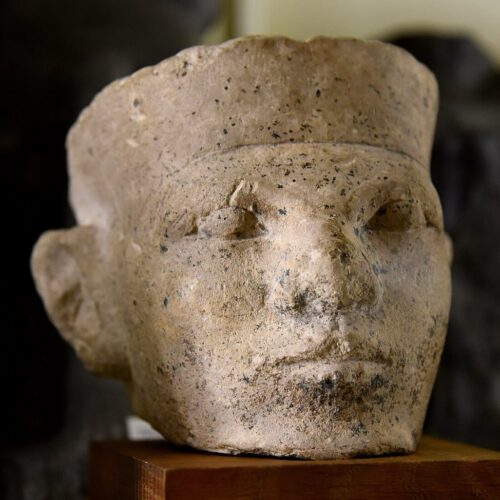 new-forensic-evidence-supports-egyptian-“retainer-sacrifice”