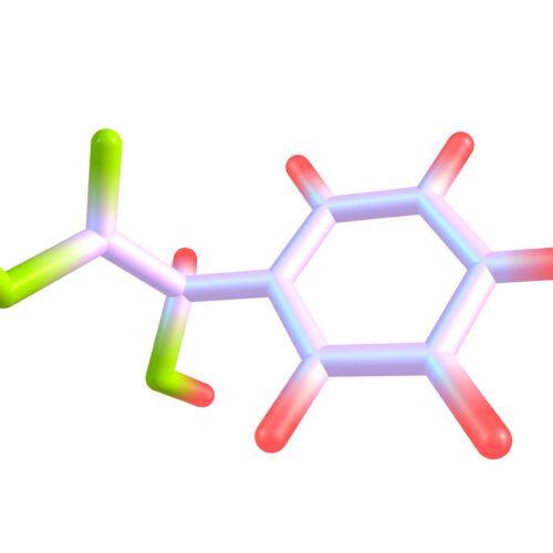 chemistry-nobel-goes-to-reactions-like-those-that-gave-life-a-hand