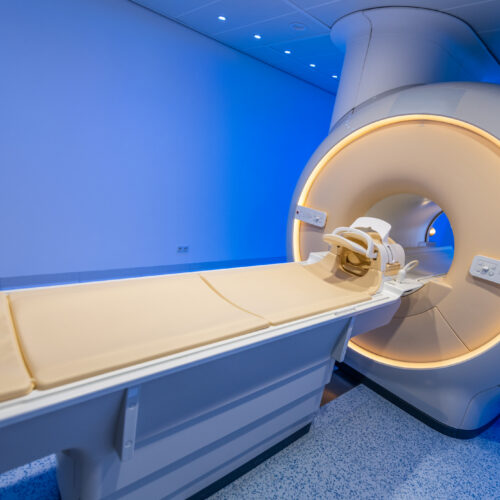 one-with-the-world?-a-new-look-at-brains-transformed-by-psychedelics.