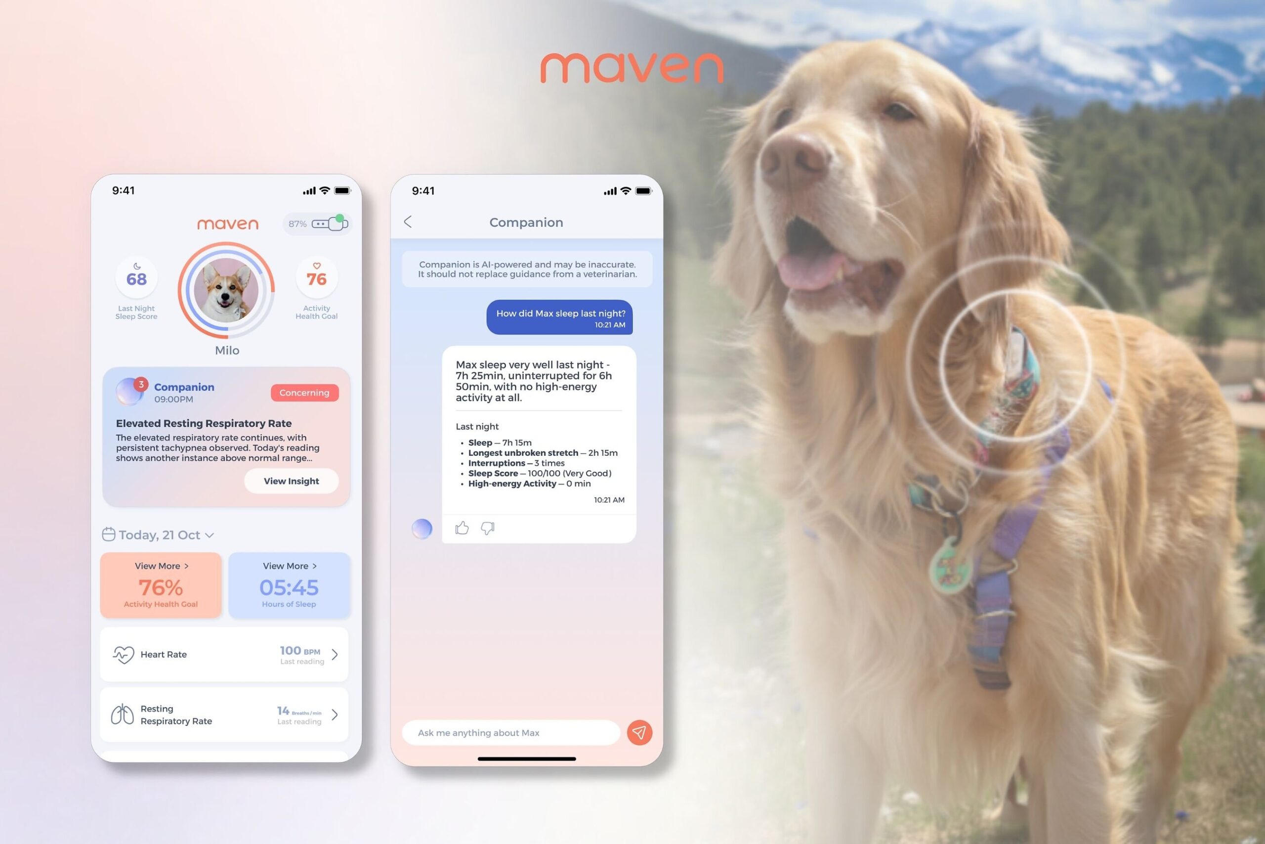 dog-parents-ask-ai-about-their-dogs-daily-it’s-never-met-their-dog.-maven-pet’s-companion-has