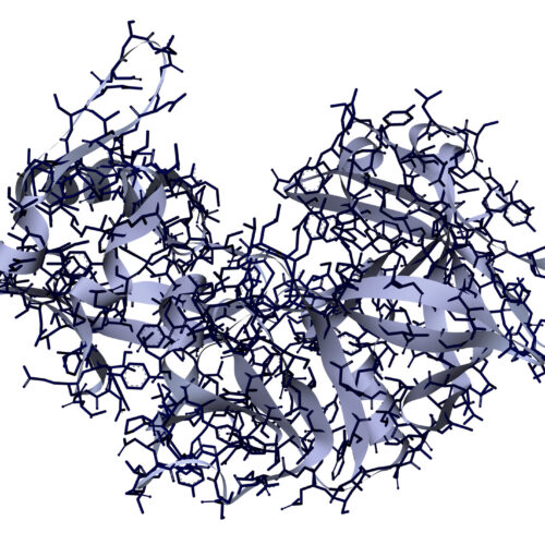 researchers-use-ai-to-design-proteins-that-cut-up-other-proteins