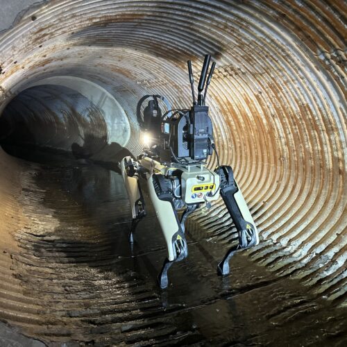 ice-plan-to-buy-robot-dogs-spurs-protest-from-hundreds-of-boston-dynamics-employees